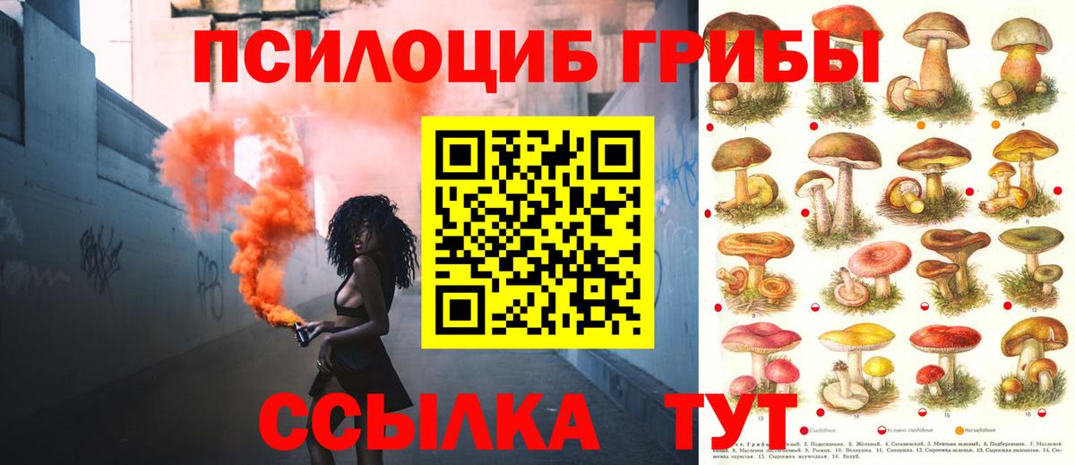 Псилоцибиновые грибы прущие грибы Кольчугино