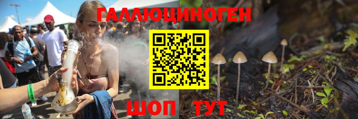 Кольчугино  Псилоцибиновые грибы Psilocybe  Вход с VPN 